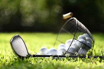 Club de golf et balles de golf dans le panier sur l& 39 herbe verte pour la pratique