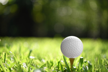 Golf ball on green grass with golf course background