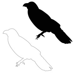 isolated silhouette of a bird, crow, sketch