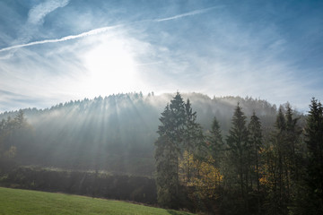 Berg mit Nadelbäumen im Sauerland bei Burbecke