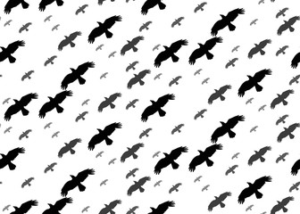 seamless background with silhouette of flying birds on a white background