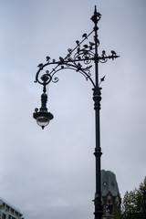 Fototapeta na wymiar Doves on a Street Lamp