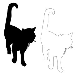 silhouette of a cat, is going