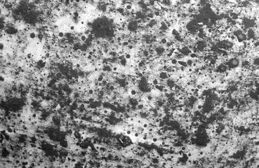 Part of old ceramic plate close-up in black and white.