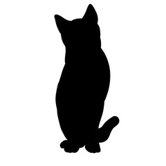 vector, isolated, black silhouette of a cat sitting