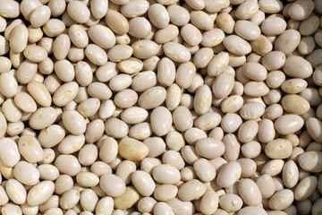 Pile of white soya beans.