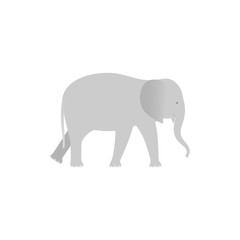 Elephant. Vector. Elephant in flat design. Zoo wild animal isolated. African fauna on white background. Cartoon Illustration.