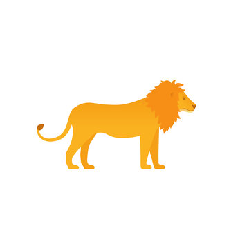 Lion. Vector. Leo in flat design. Zoo wild animal isolated. African fauna on white background. Cartoon Illustration.