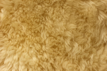Brown shaggy natural sheep fur texture for background 