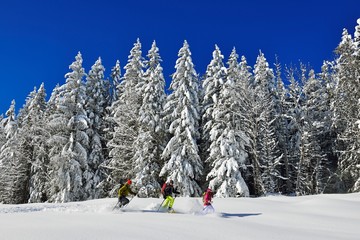 Snowshoe hikers in front of a snow-covered forest on the premium winter hiking trail of the Hemmersuppenalm, Reit im Winkl, Chiemgau, Bavaria, Germany, Europe