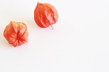 Orange physalis isolated on a white background.Physalis alkekengi ,bladder cherry, Chinese lantern,Japanese antern, strawberry groundcherry,or winter cherry is a relative of Physalis peruviana.