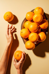 Cropped shot of woman holding tangerine on beige background with metal bowl
