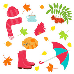 Vector autumn set on white background