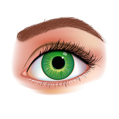 Women's Eye realistic vector illustration