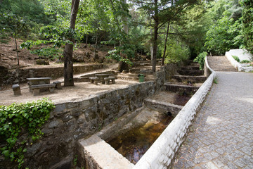 Stream in Portugal