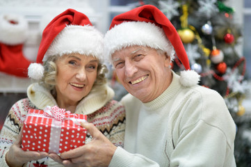 Portrait of a cute senior couple celebrating Christmas