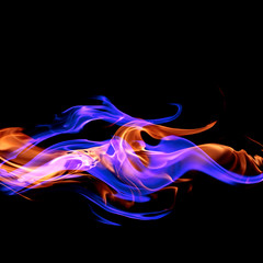 Obraz na płótnie Canvas Fire - a wave of colored plasma fire elements consisting of a hot red-orange flame on a black background - a magical colored background for poster design