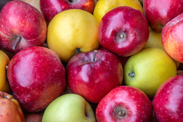 red-yellow apples on black background