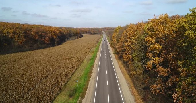 Aerial view of road in autumn forest at sunset. Amazing landscape with rural road, trees with red and orange leaves in a day near the corn field.