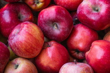red apples on black background