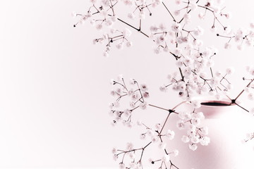 Home interior floral decor. Elegant floral soft pink composition. Beautiful flowers in vase on...