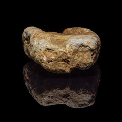Obraz premium Natural fossilized coral on a black background