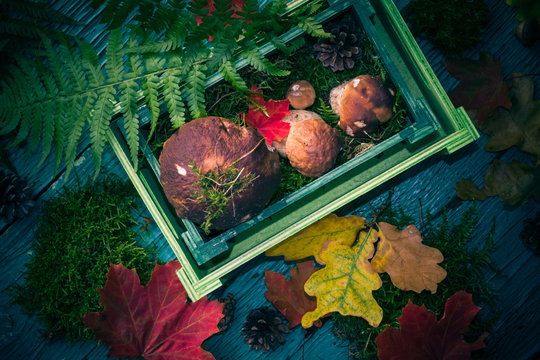 Autumn forest composition mushrooms basket