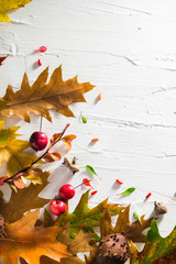 Autumnal background chestnuts acorns leaves