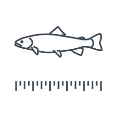 thin line icon fish, trout