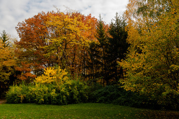 autumn park landscape design