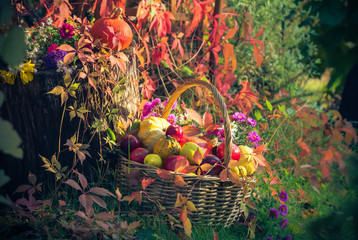Fruit basket Autumn garden