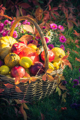 Season garden basket fruit gifts autumn