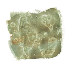 Pastel green and natural brown backdrop painted in watercolor on clean white background. Jasper stone surface imitation texture
