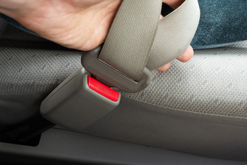 close up safety belt in the hands of the driver man. use safe belt when driving