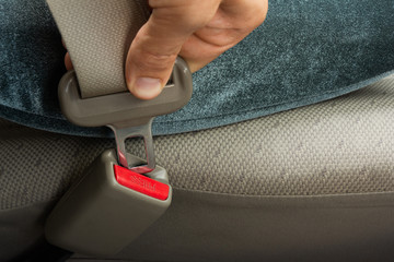close up safety belt in the hands of the driver man. use safe belt when driving