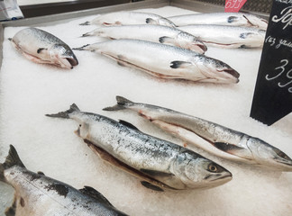 Chilled fish is on the supermarket counter