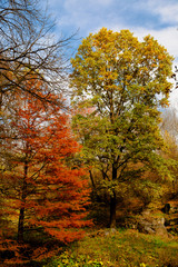 autumn park landscape design