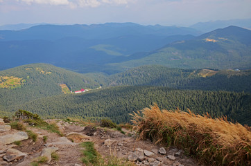 Beautiful view from the stone peaks of the mountain ranges of Hoverla Ukrainian Carpathian mountains covered with ancient conifer forests