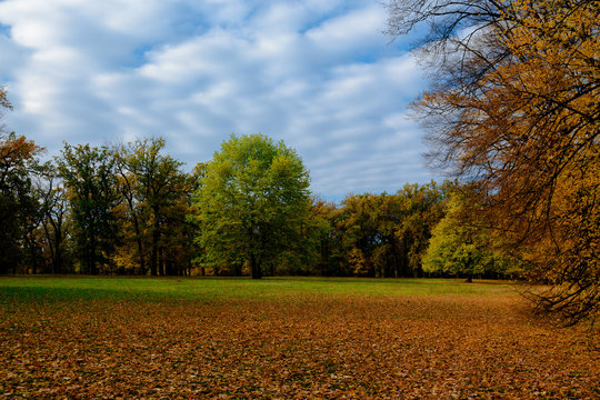 autumn park landscape design