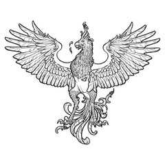 Phoenix or Phenix magic creature from ancient greek myths. Heraldic supporter. Sketch isolated on white background. EPS10 vector illustration.