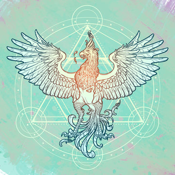 Mythycal bird Phoenix. David's star on a background. Alchemy symbol. Tattoo, textile, poster design. Sketch isolated on textured watercolor background. EPS10 vector.