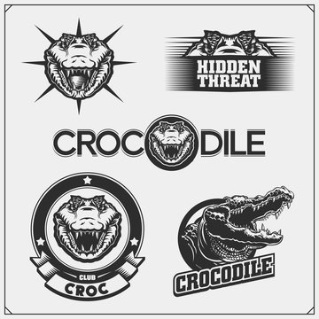 The emblems with crocodile for a sport team. Crocodile labels, badges and design elements.