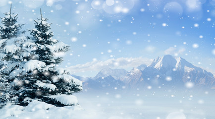 Winter background