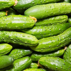 Cucumbers