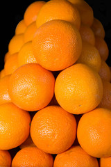 Ripe oranges