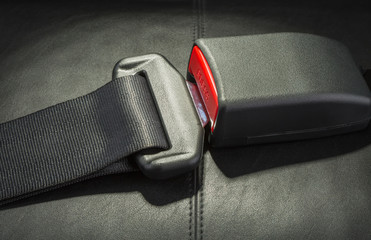 seat belt