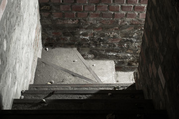 Ladder to the basement with old brick walls