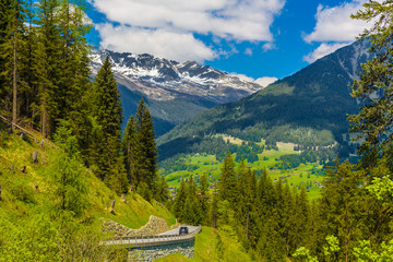 Fototapeta na wymiar Forest in Alps mountains, Klosters-Serneus, Davos, Graubuenden,