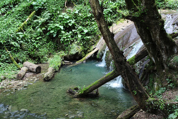 River in the deep forest