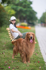 The woman and the golden retriever